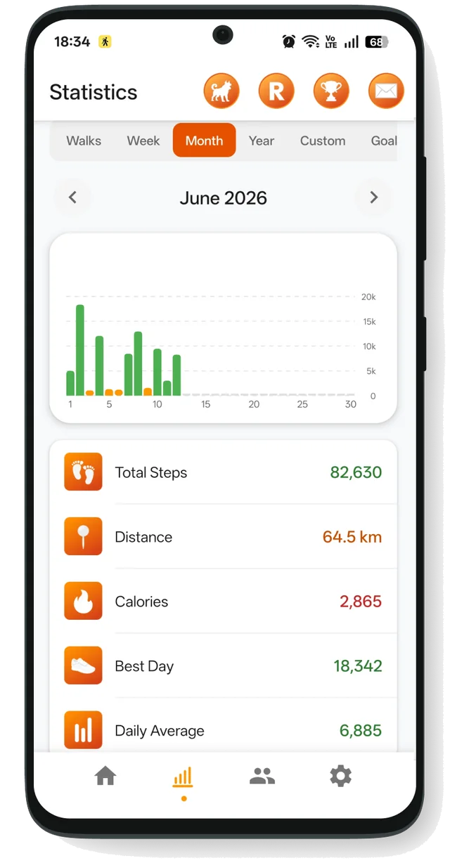 StepMax statistics screen with monthly step chart